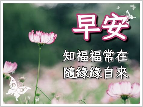 下雨 長輩圖|長輩圖！LINE長輩圖免費下載